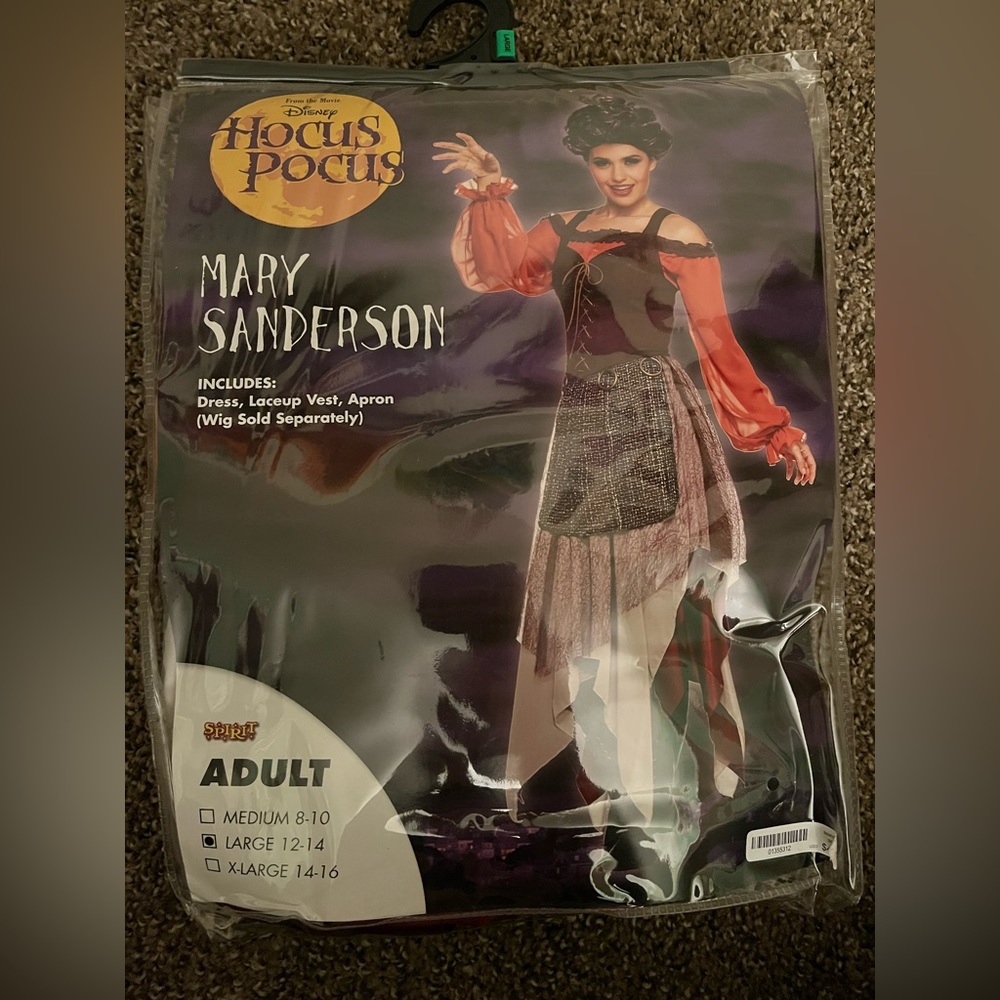 Mary Sanderson Costume and Wig